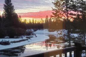 Merganser Memories